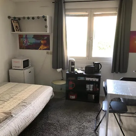Cosy Parking Prive 300m Petite Venise * Colmar