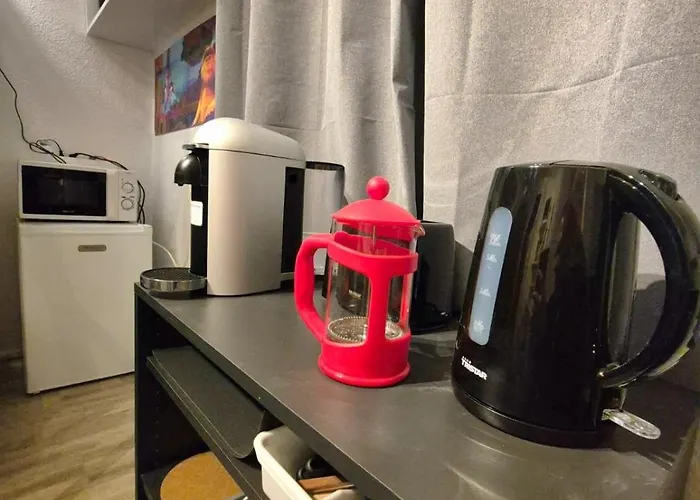 Jungle Art Studio Colmar Colmar