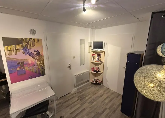 Jungle Art Studio Colmar Appartamento *